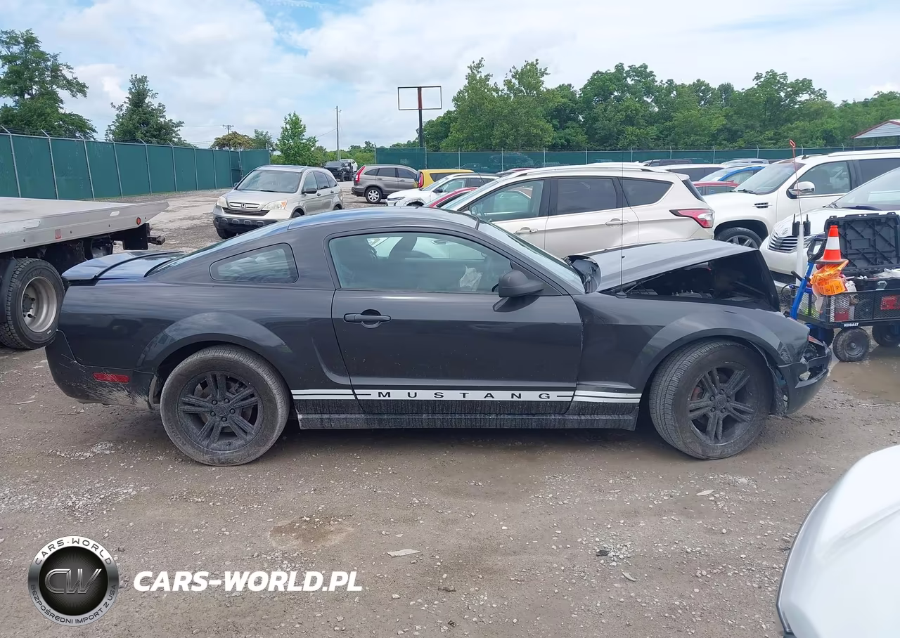2008 Ford Mustang V6 Deluxe-V6 Premium VIN:1ZVHT80N685114746 - 13