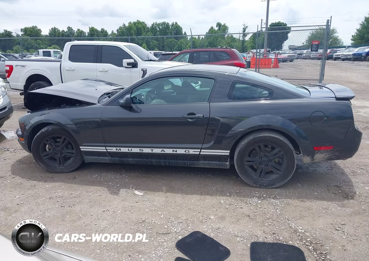 2008 Ford Mustang V6 Deluxe-V6 Premium VIN:1ZVHT80N685114746 - 14