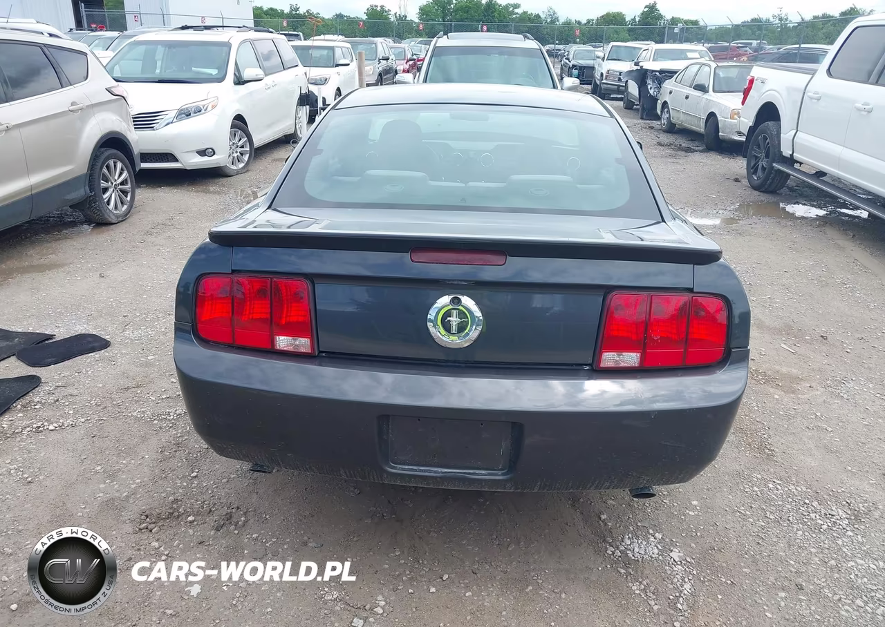 2008 Ford Mustang V6 Deluxe-V6 Premium VIN:1ZVHT80N685114746 - 16