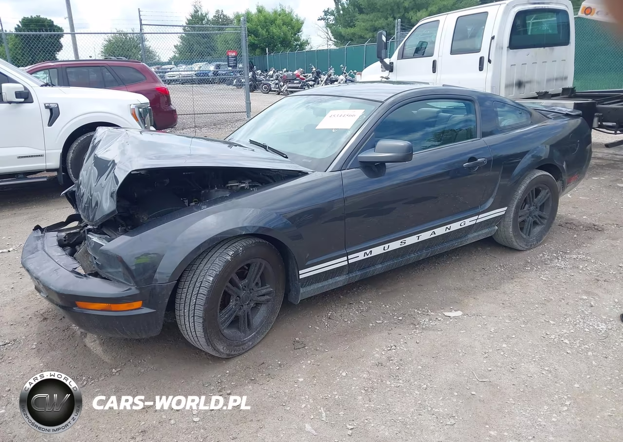 2008 Ford Mustang V6 Deluxe-V6 Premium VIN:1ZVHT80N685114746 - 2