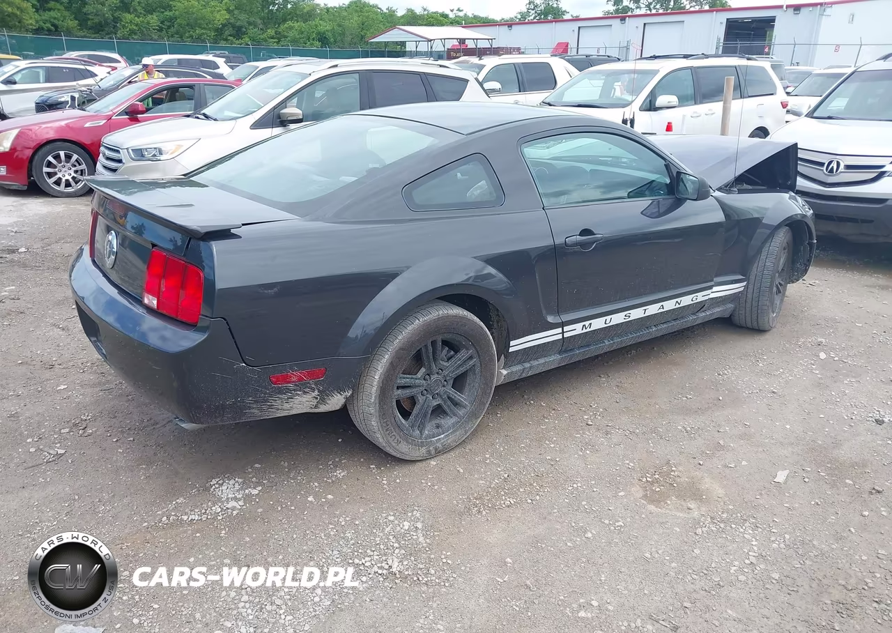2008 Ford Mustang V6 Deluxe-V6 Premium VIN:1ZVHT80N685114746 - 4