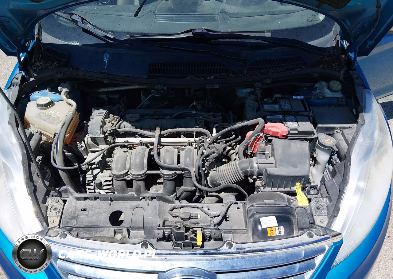2013 Ford Fiesta Se VIN:3FADP4BJ2DM204771 - 10