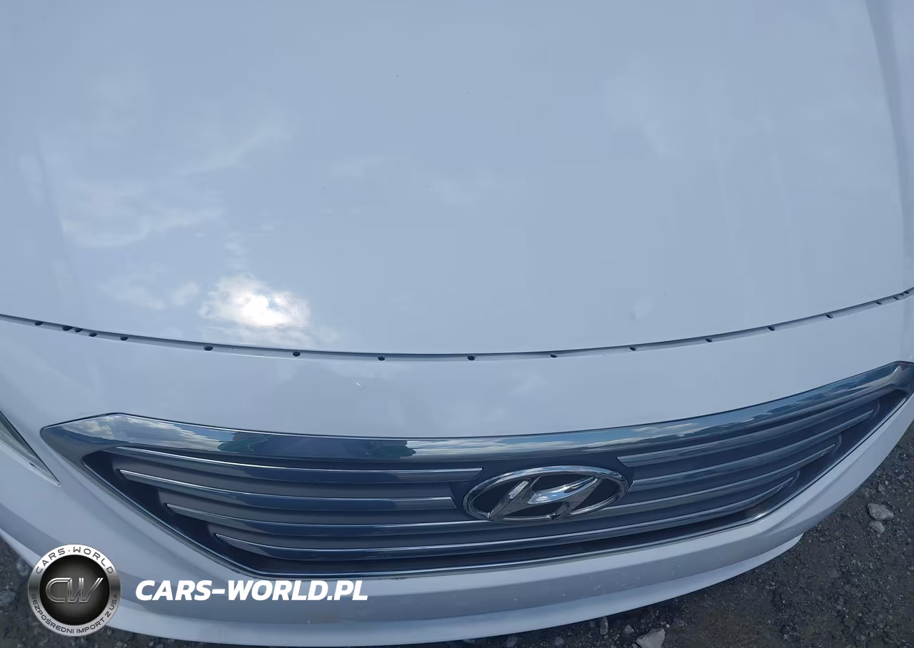 2016 HYUNDAI SONATA SE VIN:5NPE24AFXGH327870 - 12