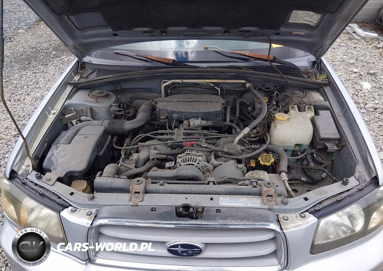 2003 Subaru Forester Xs VIN:JF1SG65663H764080 - 10