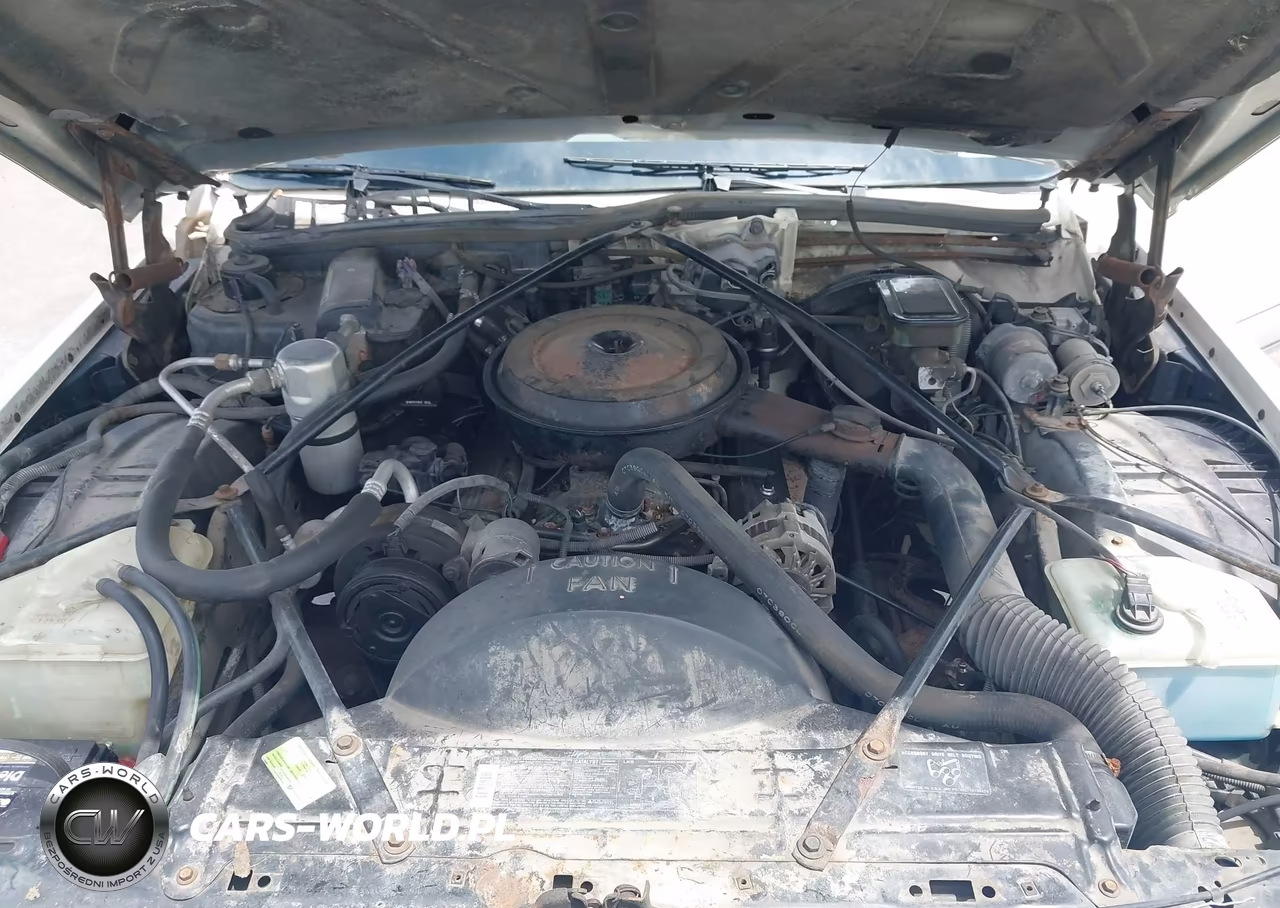 1991 Cadillac Brougham VIN:1G6DW54E5MR702290 - 10