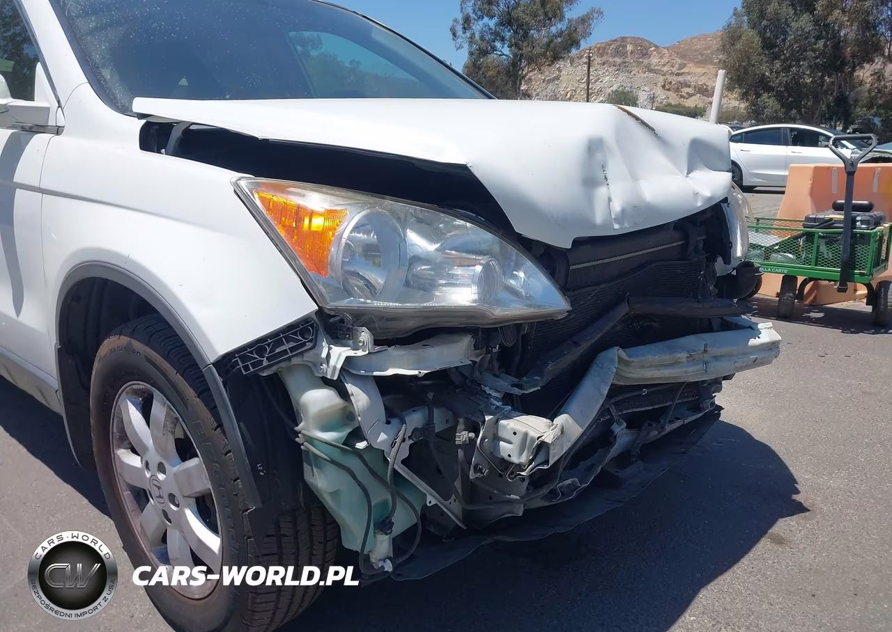 2007 Honda Cr-V Ex-L VIN:JHLRE48757C106196 - 6