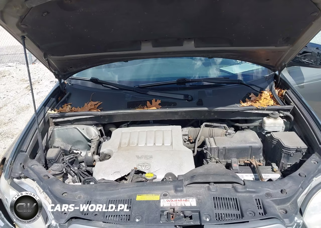 2010 Toyota Highlander Se V6 VIN:5TDJK3EH6AS014398 - 10