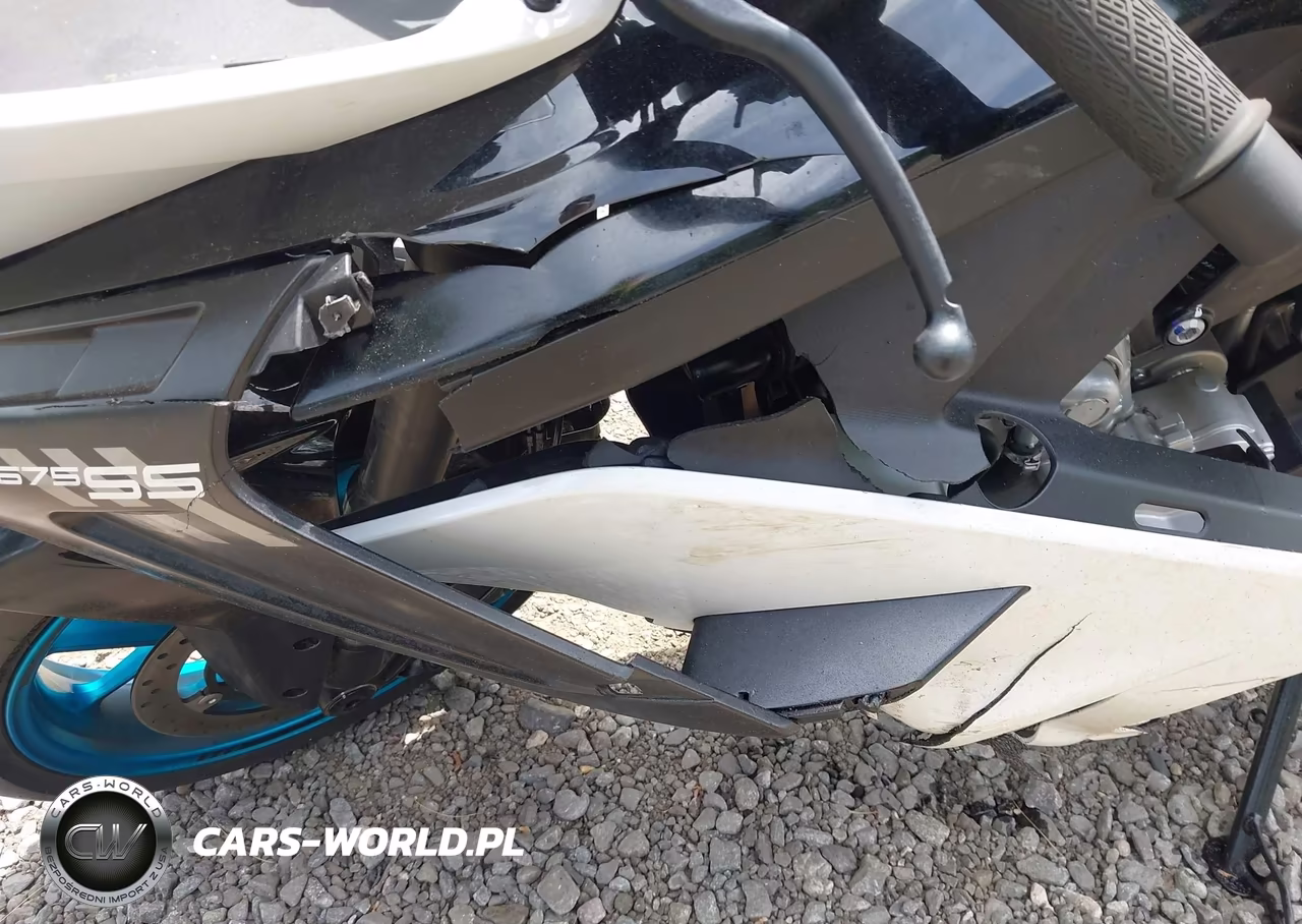 2026 Cf Moto 675Ss VIN:LCEPEVLP5T6001667 - 14