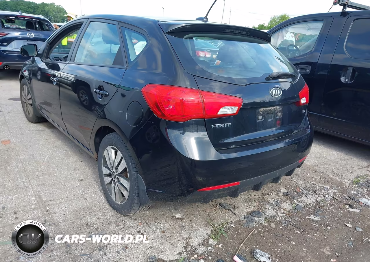 2013 Kia Forte Ex VIN:KNAFU5A25D5649889 - 3