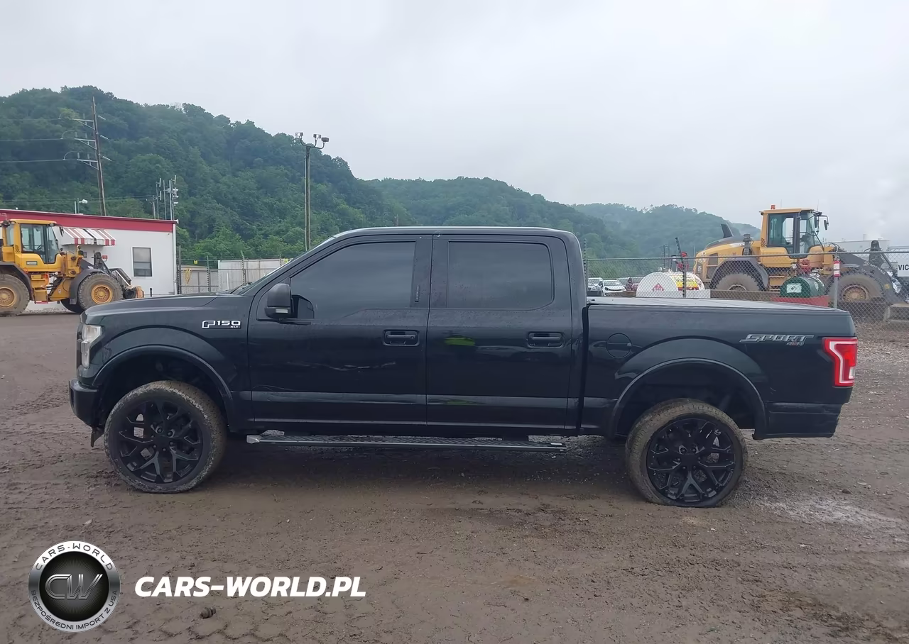 2017 Ford F-150 Xlt VIN:1FTEW1EF7HFC18890 - 14