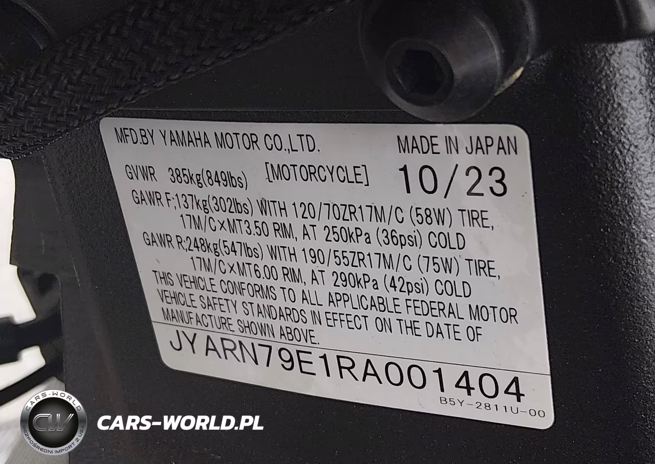 2024 Yamaha Mtn1000 VIN:JYARN79E1RA001404 - 10