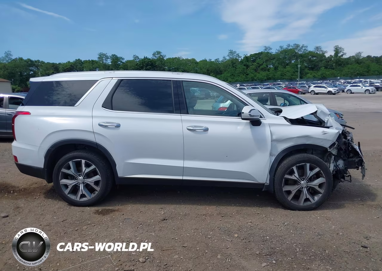 2021 Hyundai Palisade Sel VIN:KM8R4DHE1MU204576 - 13