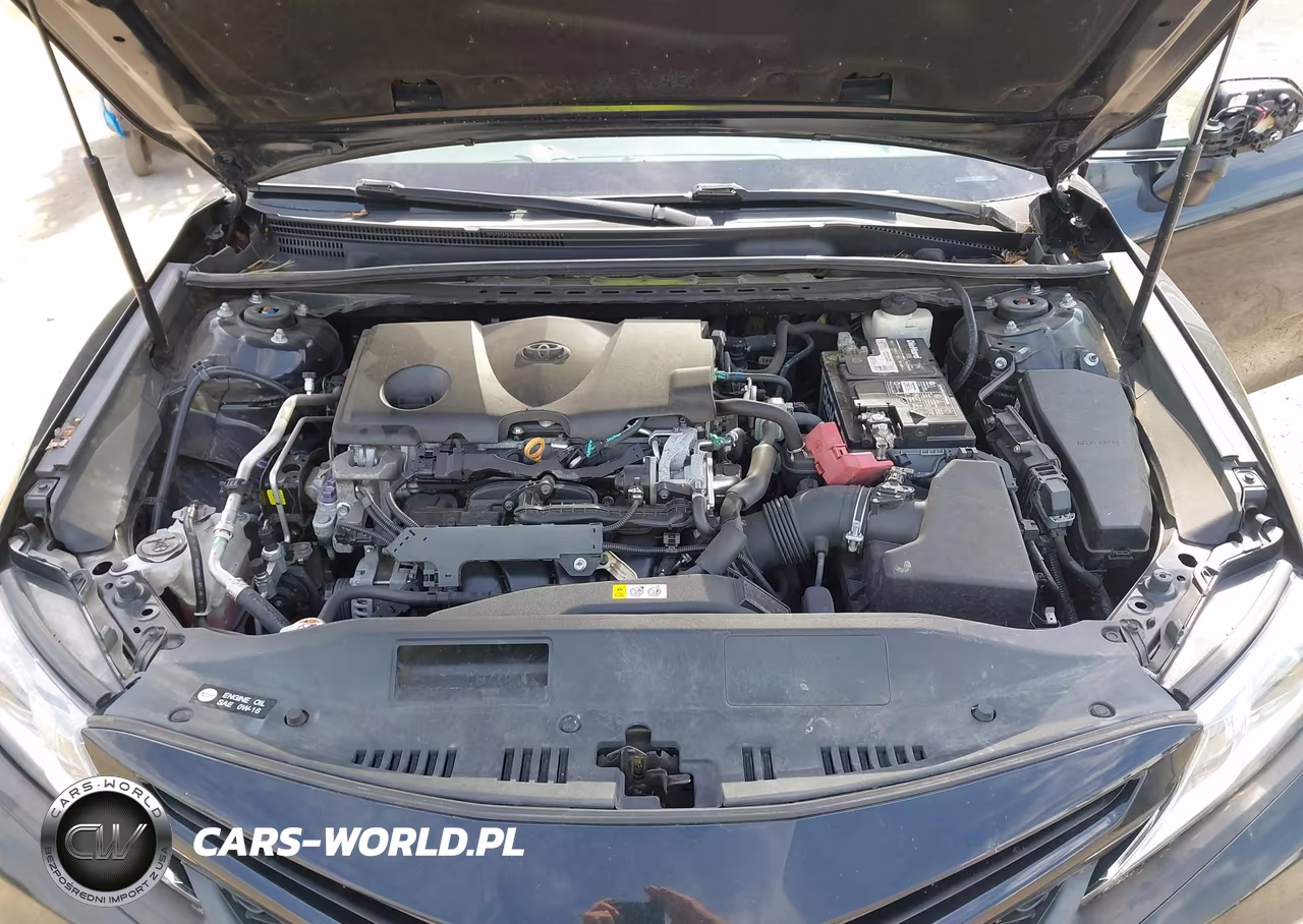 2018 Toyota Camry Se VIN:4T1B11HK0JU091097 - 10