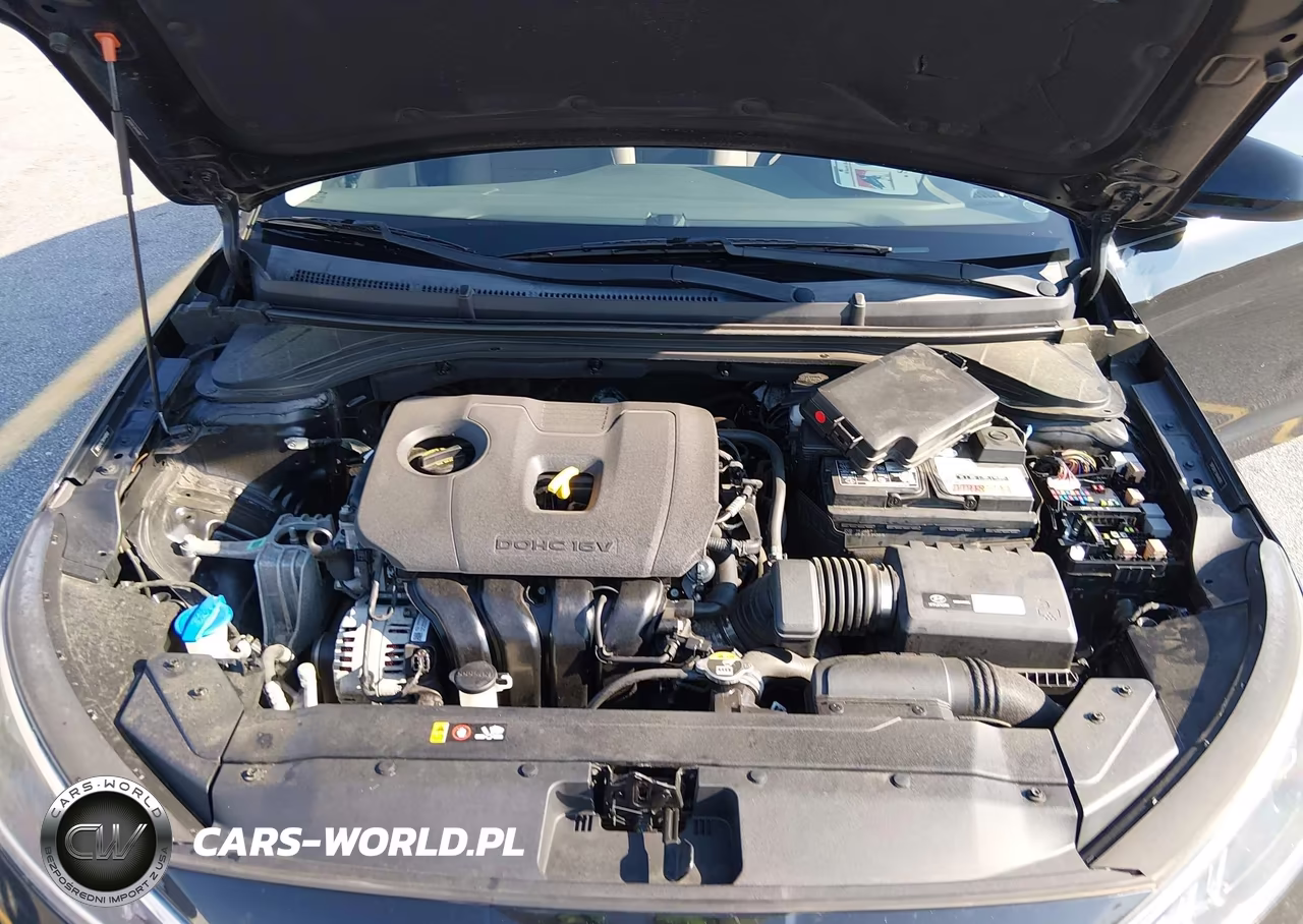 2019 Hyundai Elantra Sel VIN:5NPD84LF5KH448161 - 10