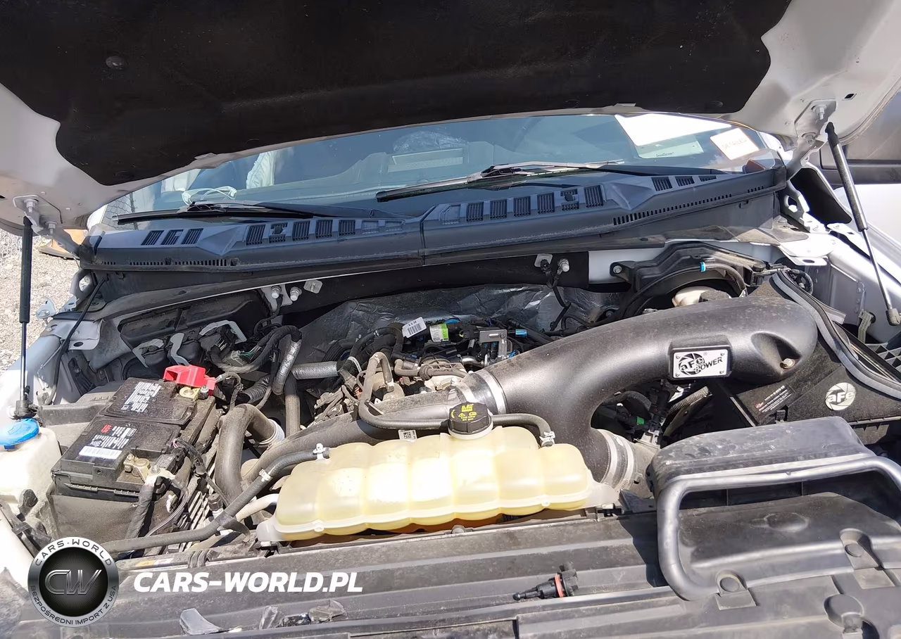 2019 Ford F-150 Xlt VIN:1FTEW1EP7KFB89892 - 10