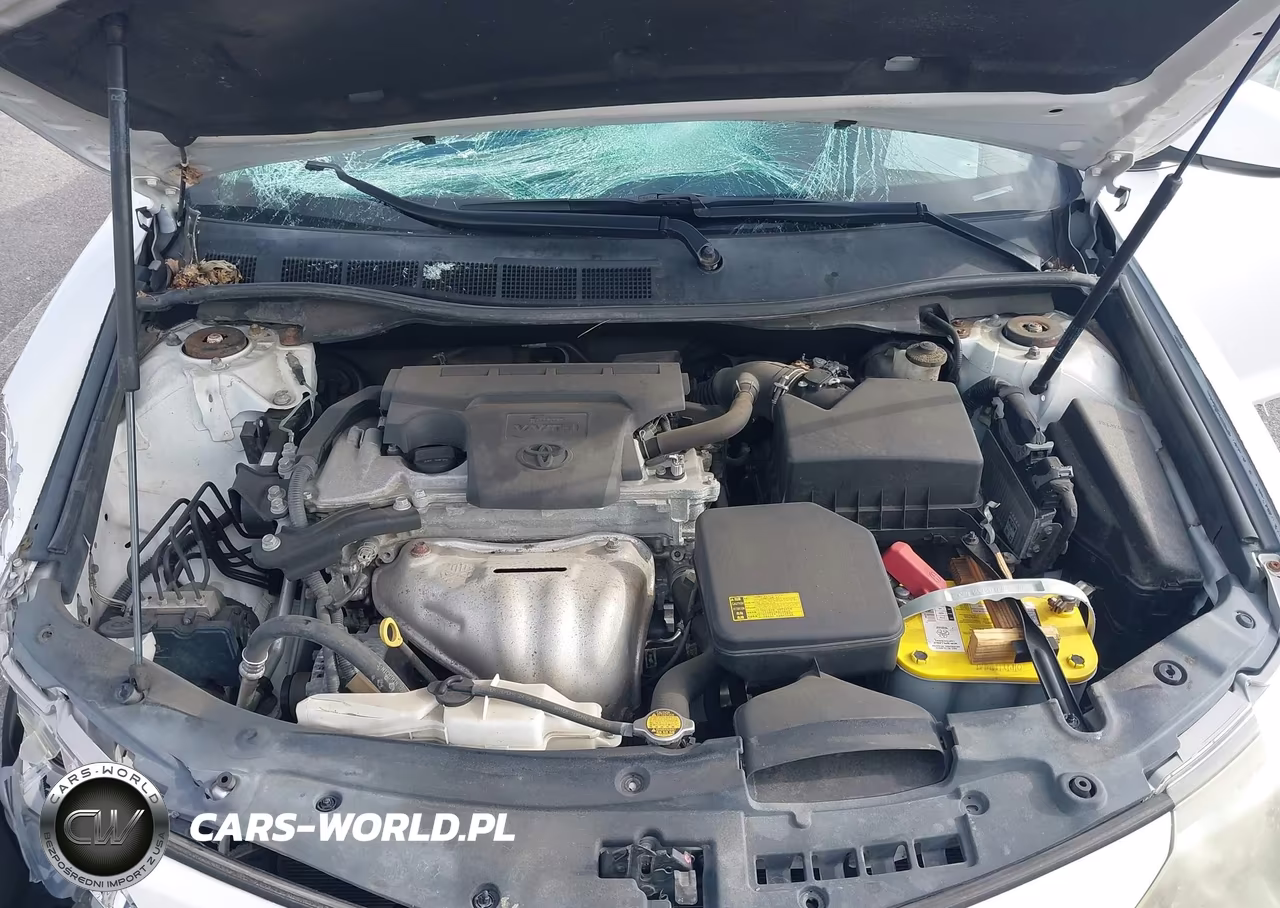2014 Toyota Camry Se VIN:4T1BF1FK4EU332640 - 10