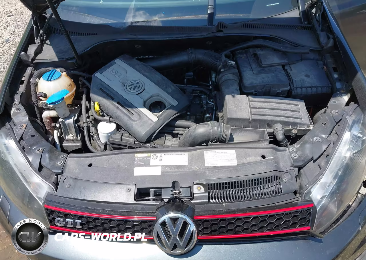 2014 Volkswagen Gti Wolfsburg Edition VIN:WVWHD7AJ7EW004364 - 10