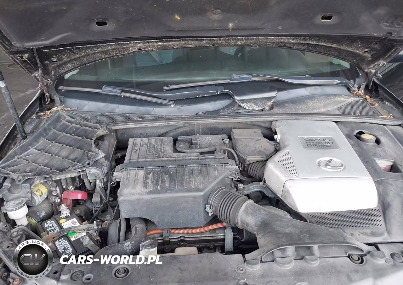 2007 Lexus Rx 400H VIN:JTJGW31U672004078 - 10