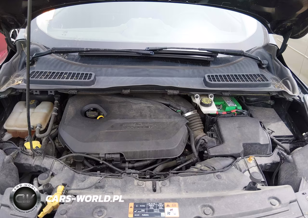 2014 Ford Escape Se VIN:1FMCU0GX9EUC55438 - 10