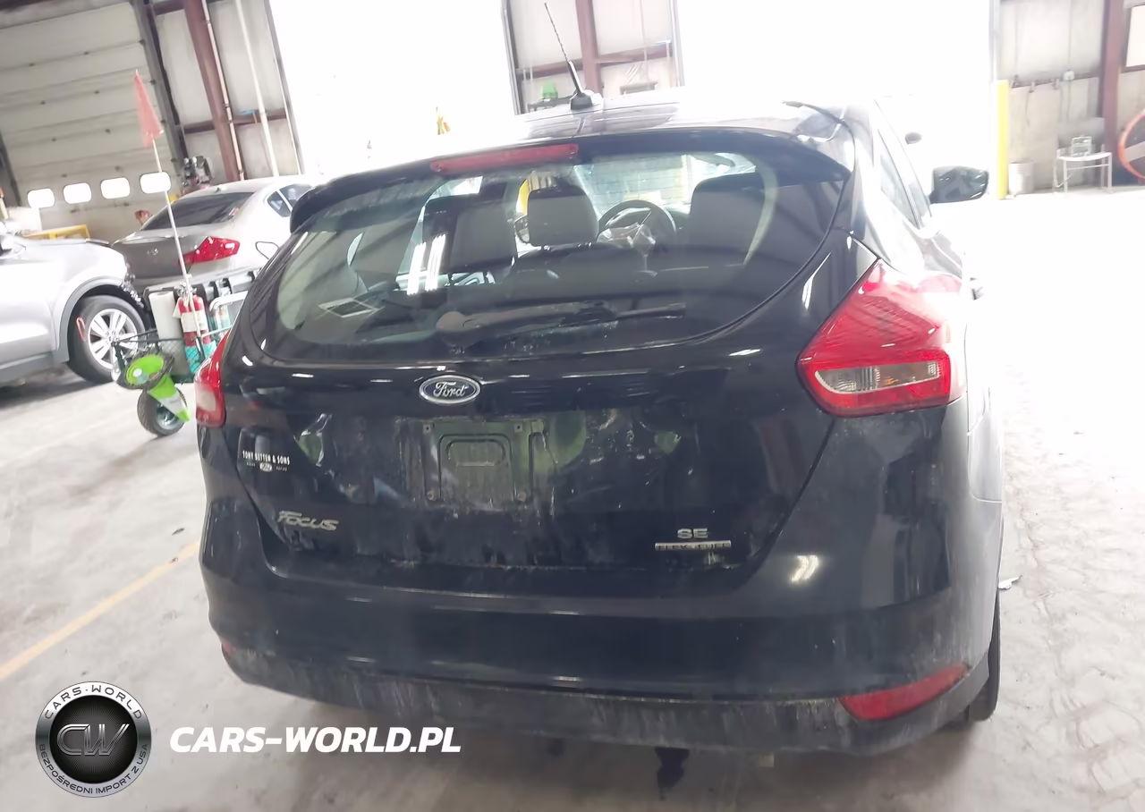 2016 Ford Focus Se VIN:1FADP3K25GL281305 - 16