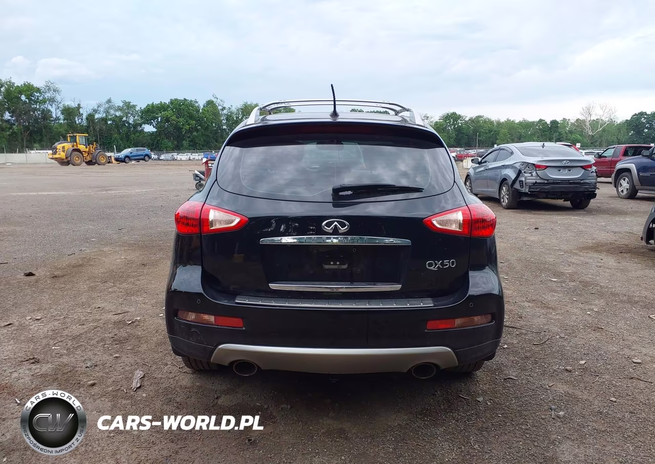 2016 Infiniti Qx50 VIN:JN1BJ0RR0GM269483 - 17
