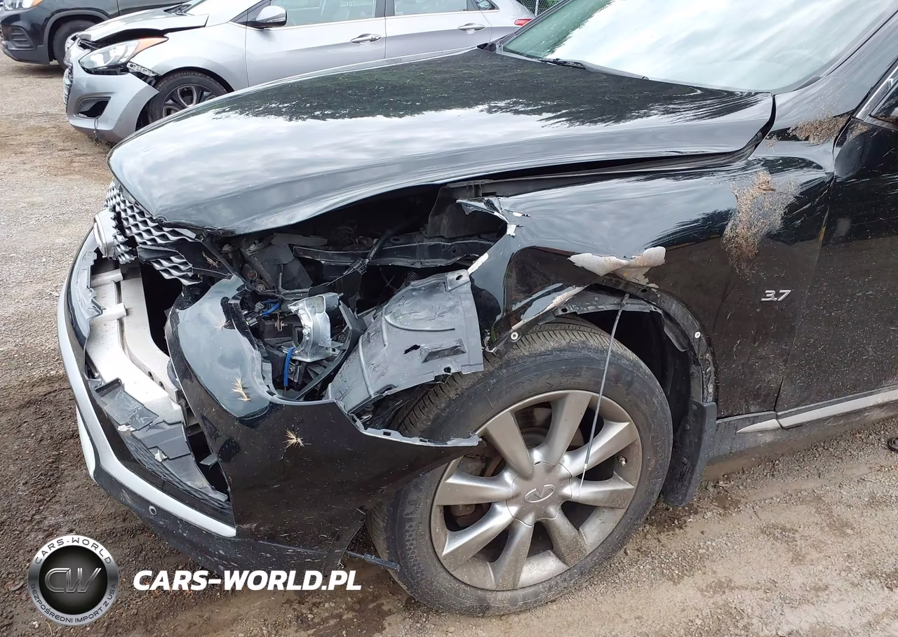 2016 Infiniti Qx50 VIN:JN1BJ0RR0GM269483 - 18