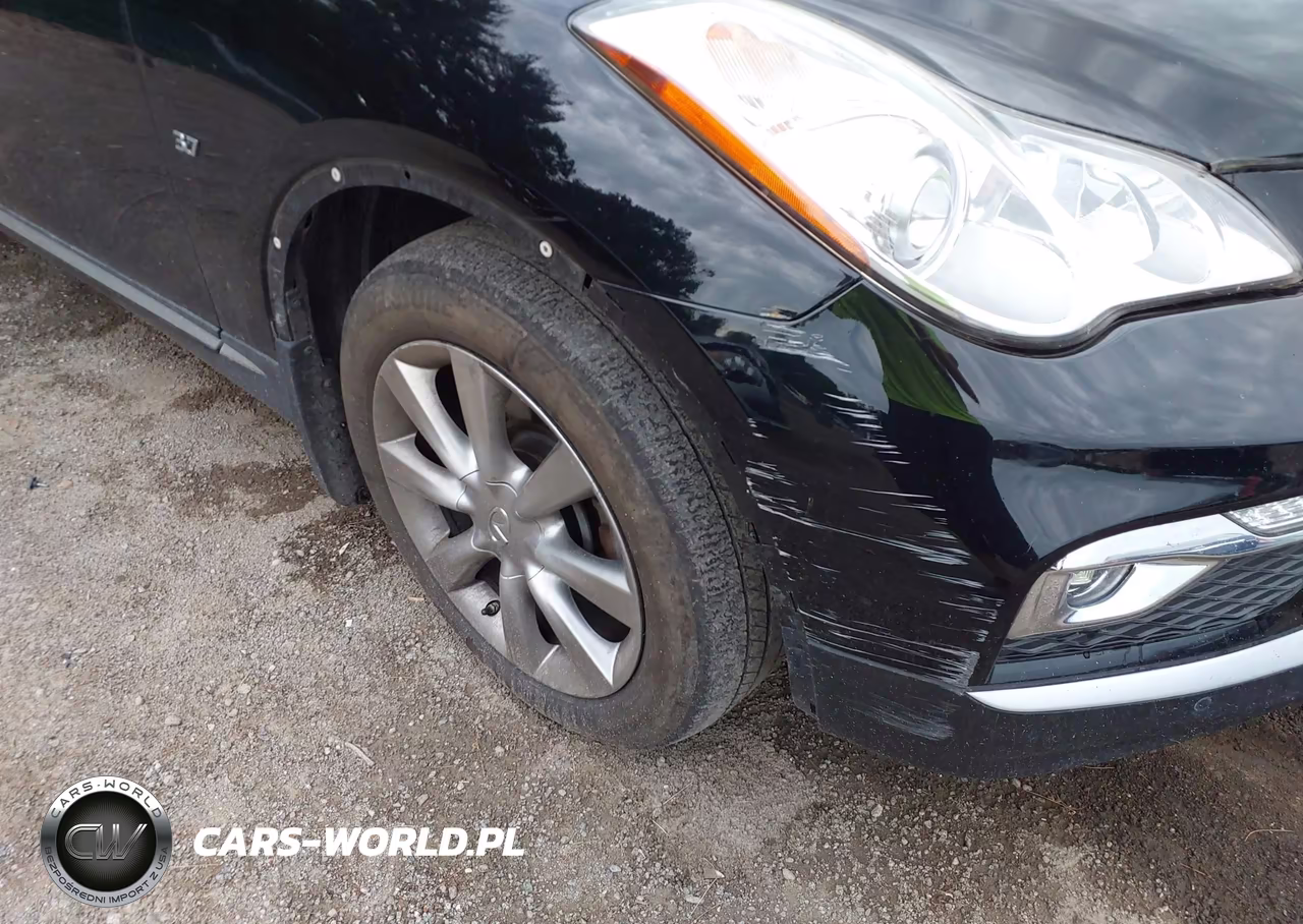 2016 Infiniti Qx50 VIN:JN1BJ0RR0GM269483 - 20