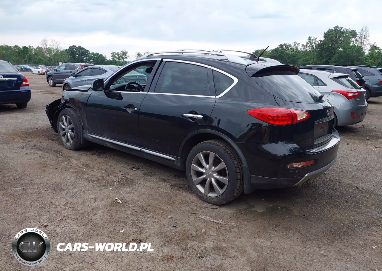 2016 Infiniti Qx50 VIN:JN1BJ0RR0GM269483 - 3