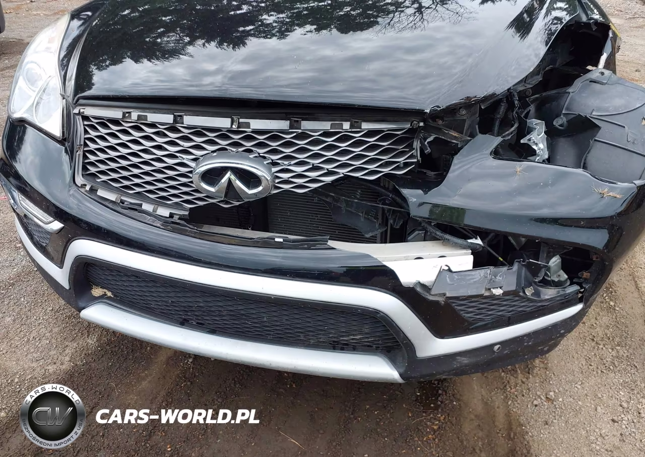 2016 Infiniti Qx50 VIN:JN1BJ0RR0GM269483 - 6