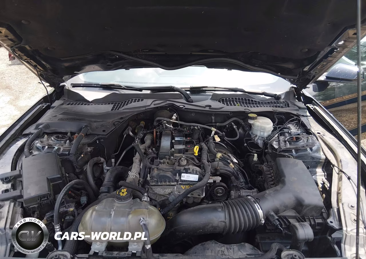 2017 Ford Mustang Ecoboost VIN:1FA6P8TH9H5329306 - 10