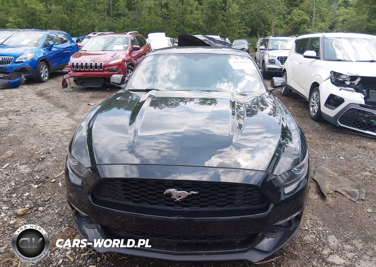 2017 Ford Mustang Ecoboost VIN:1FA6P8TH9H5329306 - 12