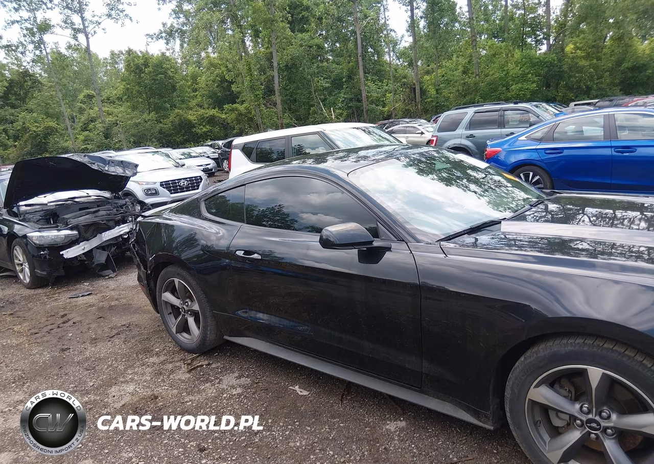 2017 Ford Mustang Ecoboost VIN:1FA6P8TH9H5329306 - 13