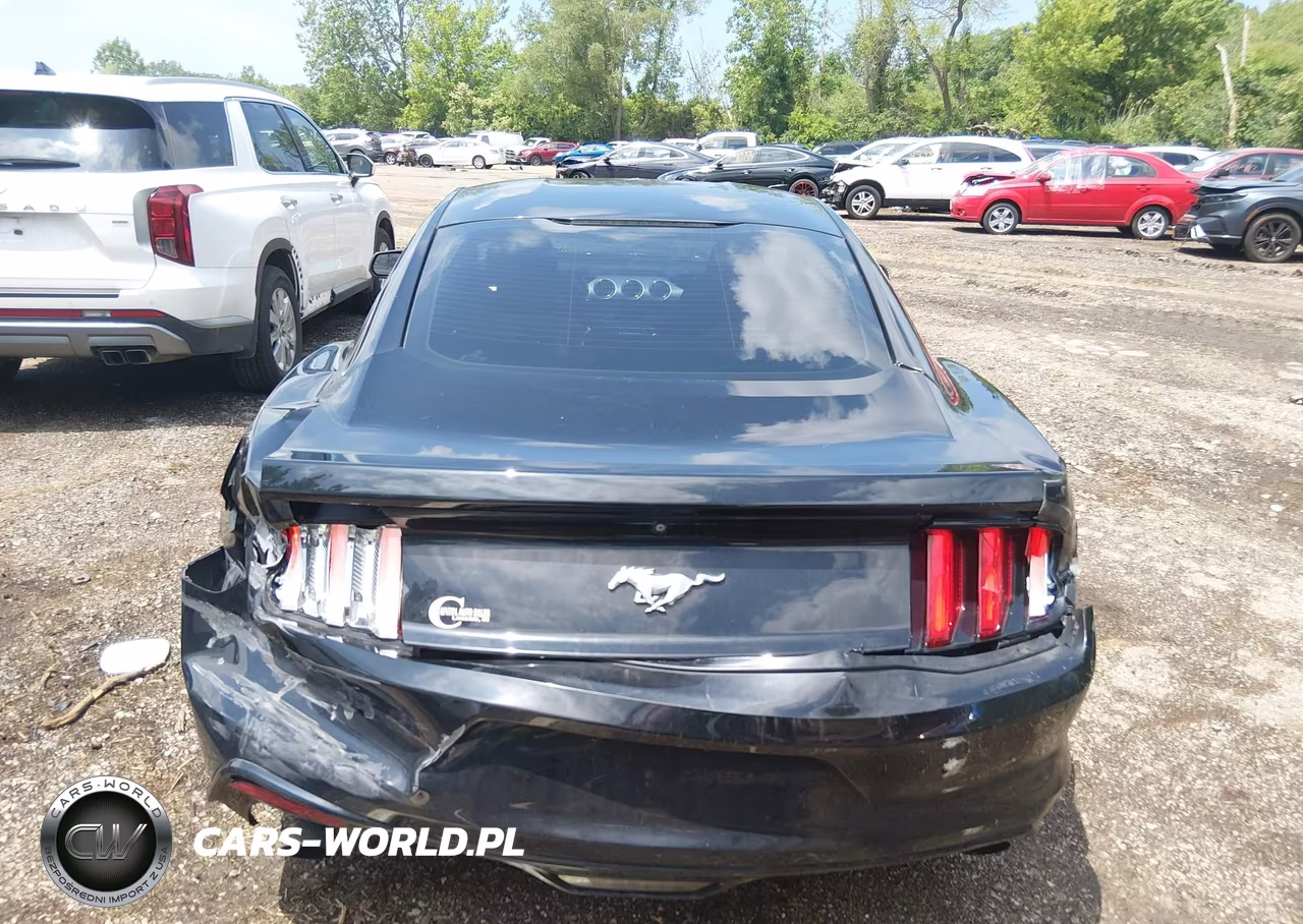 2017 Ford Mustang Ecoboost VIN:1FA6P8TH9H5329306 - 16