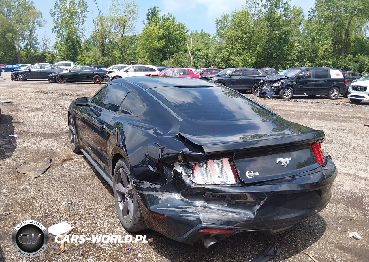 2017 Ford Mustang Ecoboost VIN:1FA6P8TH9H5329306 - 3