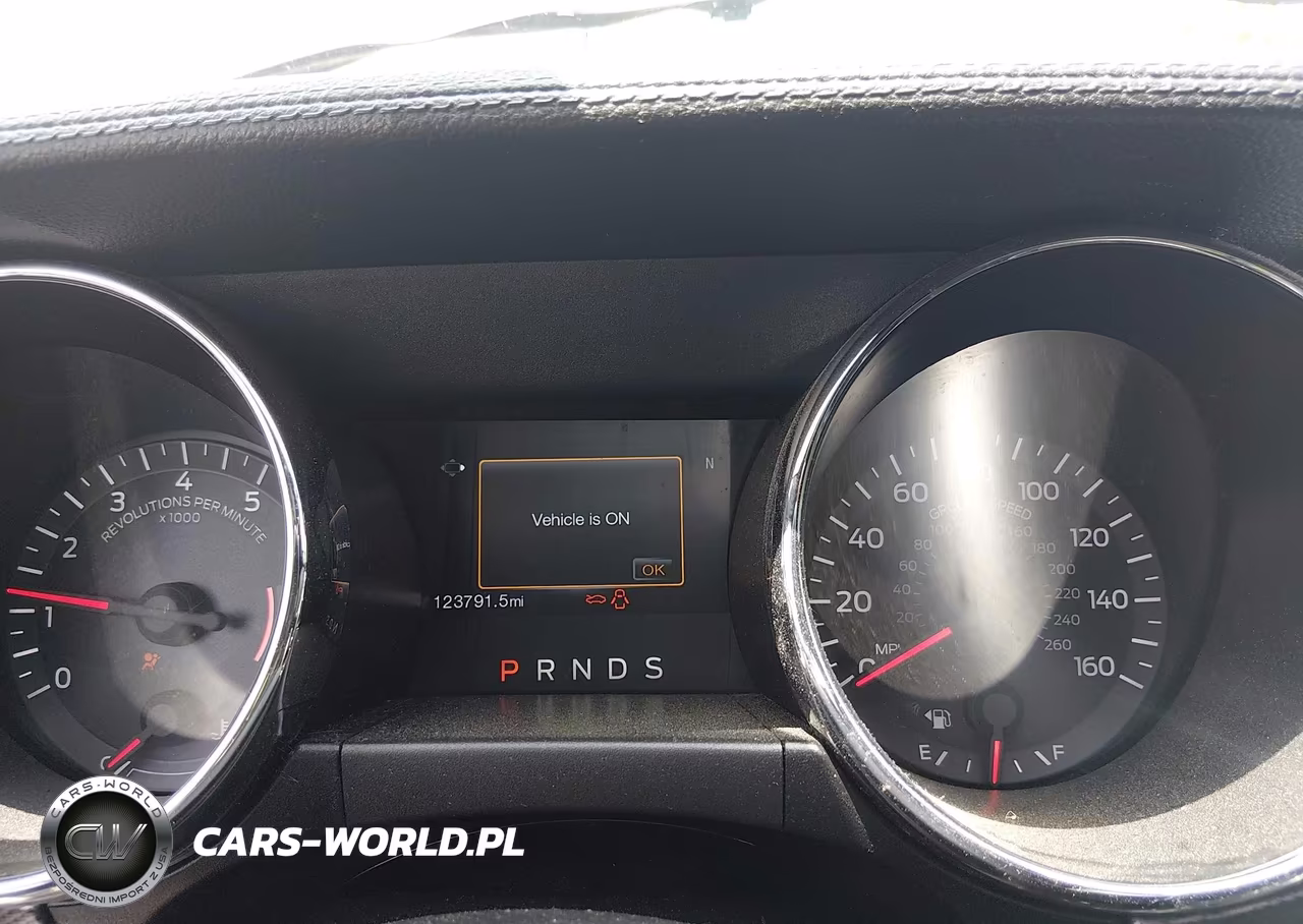 2017 Ford Mustang Ecoboost VIN:1FA6P8TH9H5329306 - 7