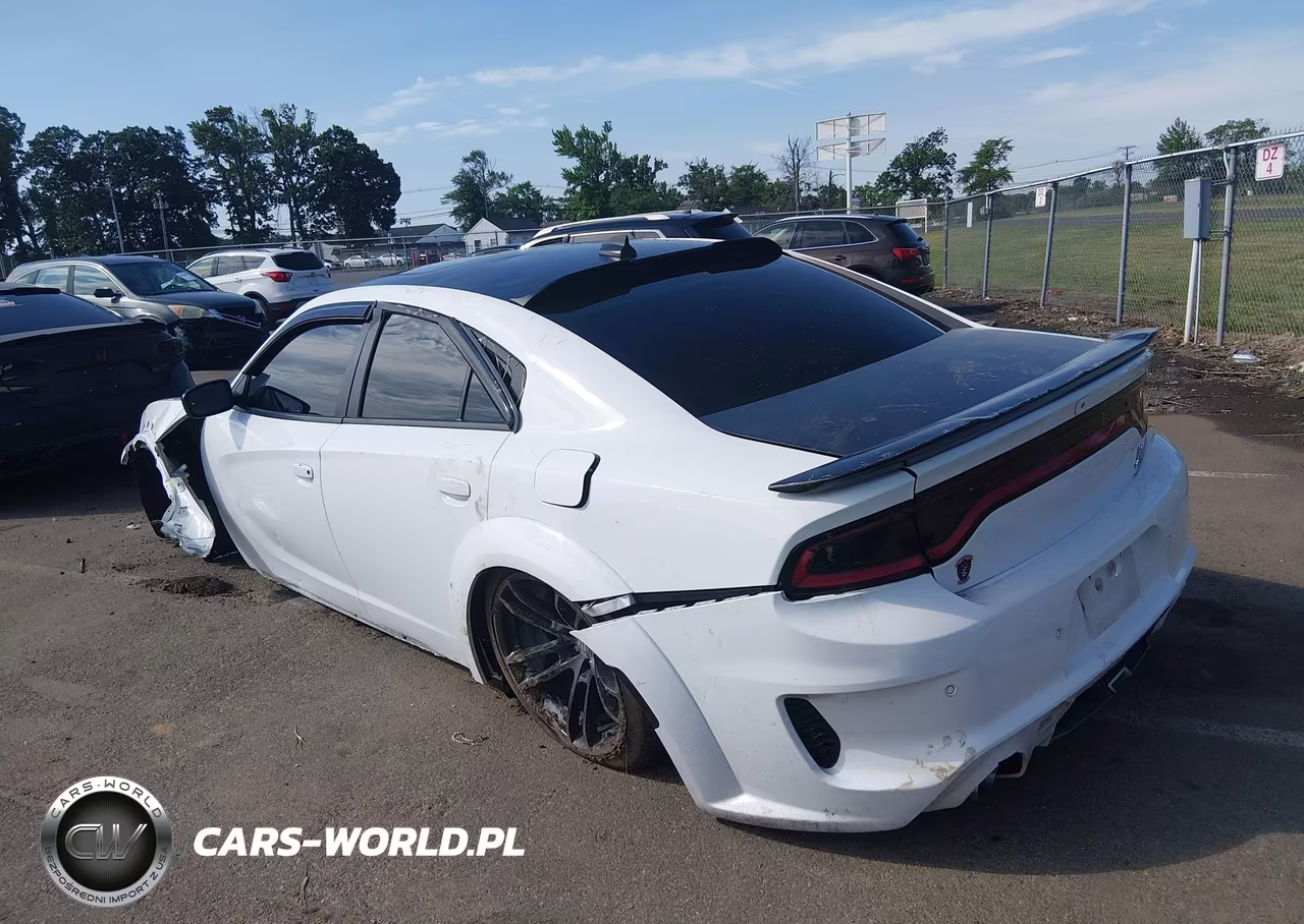 2023 Dodge Charger Scat Pack Widebody VIN:2C3CDXGJ3PH607545 - 3