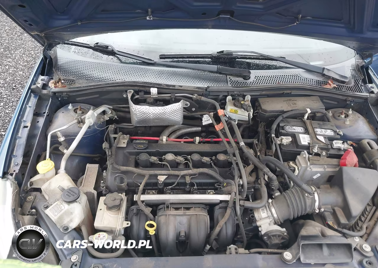 2009 Ford Focus Ses VIN:1FAHP36NX9W103963 - 10