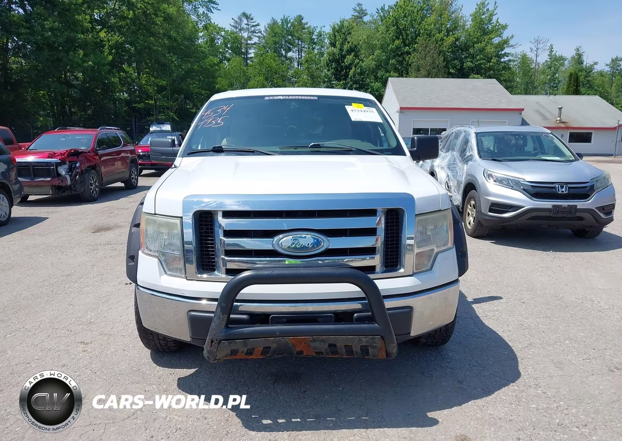 2009 Ford F-150 Stx-Xl-Xlt VIN:1FTRX14849FA79174 - 12