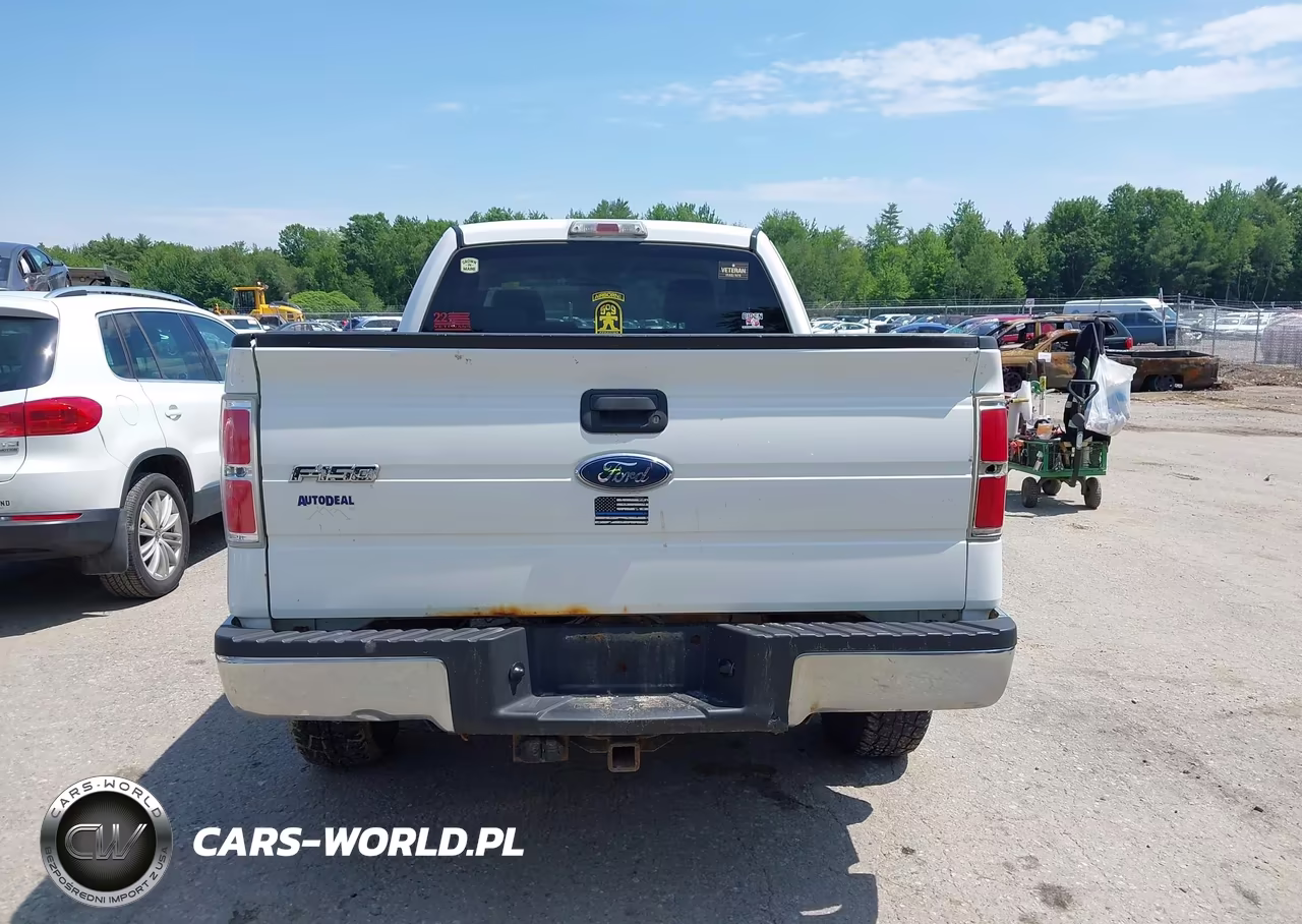 2009 Ford F-150 Stx-Xl-Xlt VIN:1FTRX14849FA79174 - 16