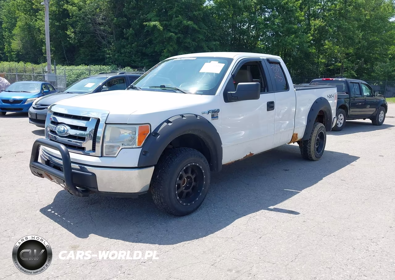 2009 Ford F-150 Stx-Xl-Xlt VIN:1FTRX14849FA79174 - 2