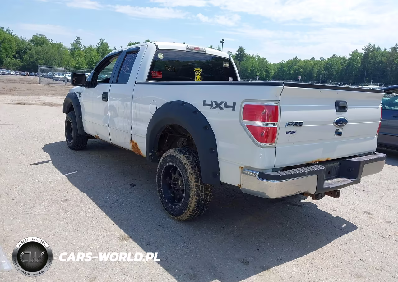 2009 Ford F-150 Stx-Xl-Xlt VIN:1FTRX14849FA79174 - 3