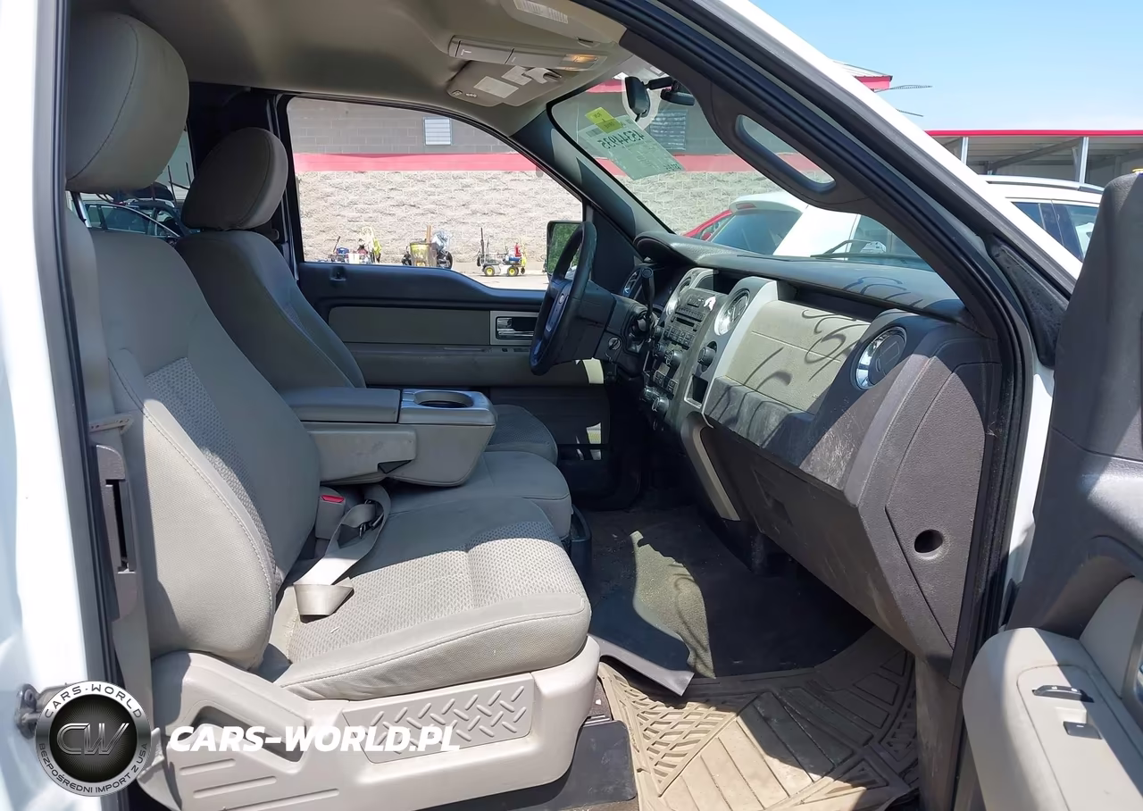 2009 Ford F-150 Stx-Xl-Xlt VIN:1FTRX14849FA79174 - 5
