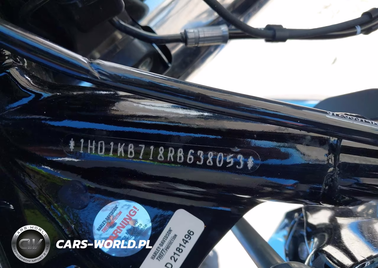 2024 Harley-Davidson Flhx VIN:1HD1KB718RB638053 - 10