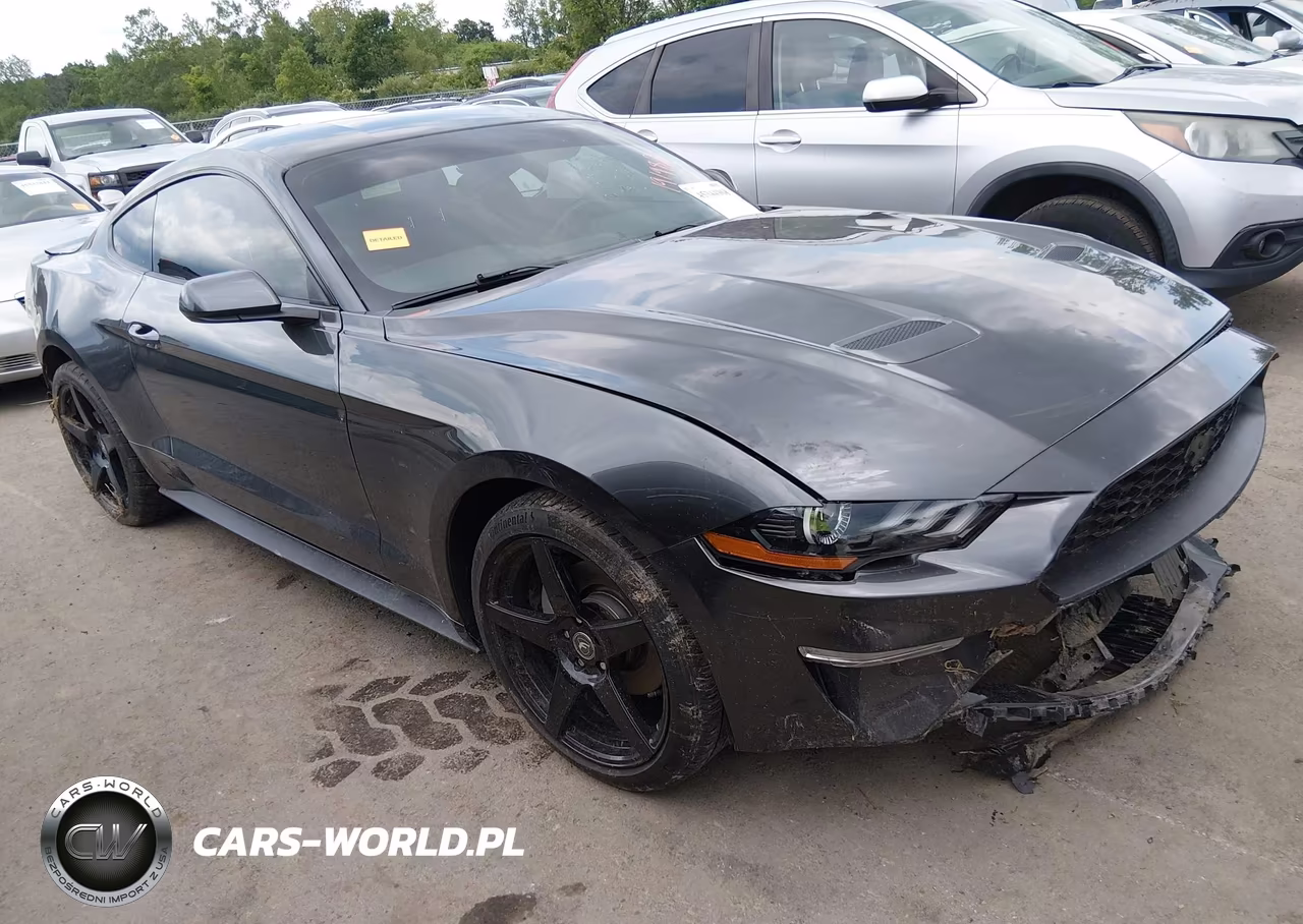 2019 Ford Mustang Ecoboost
