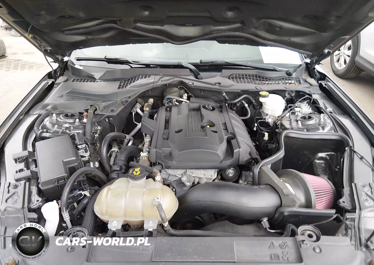 2019 Ford Mustang Ecoboost VIN:1FA6P8TH5K5191982 - 10