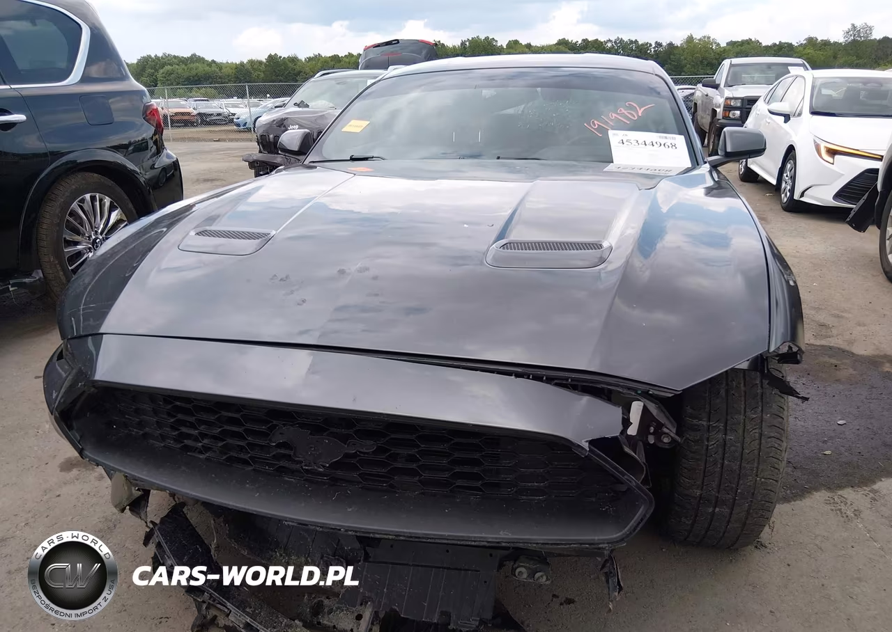 2019 Ford Mustang Ecoboost VIN:1FA6P8TH5K5191982 - 13