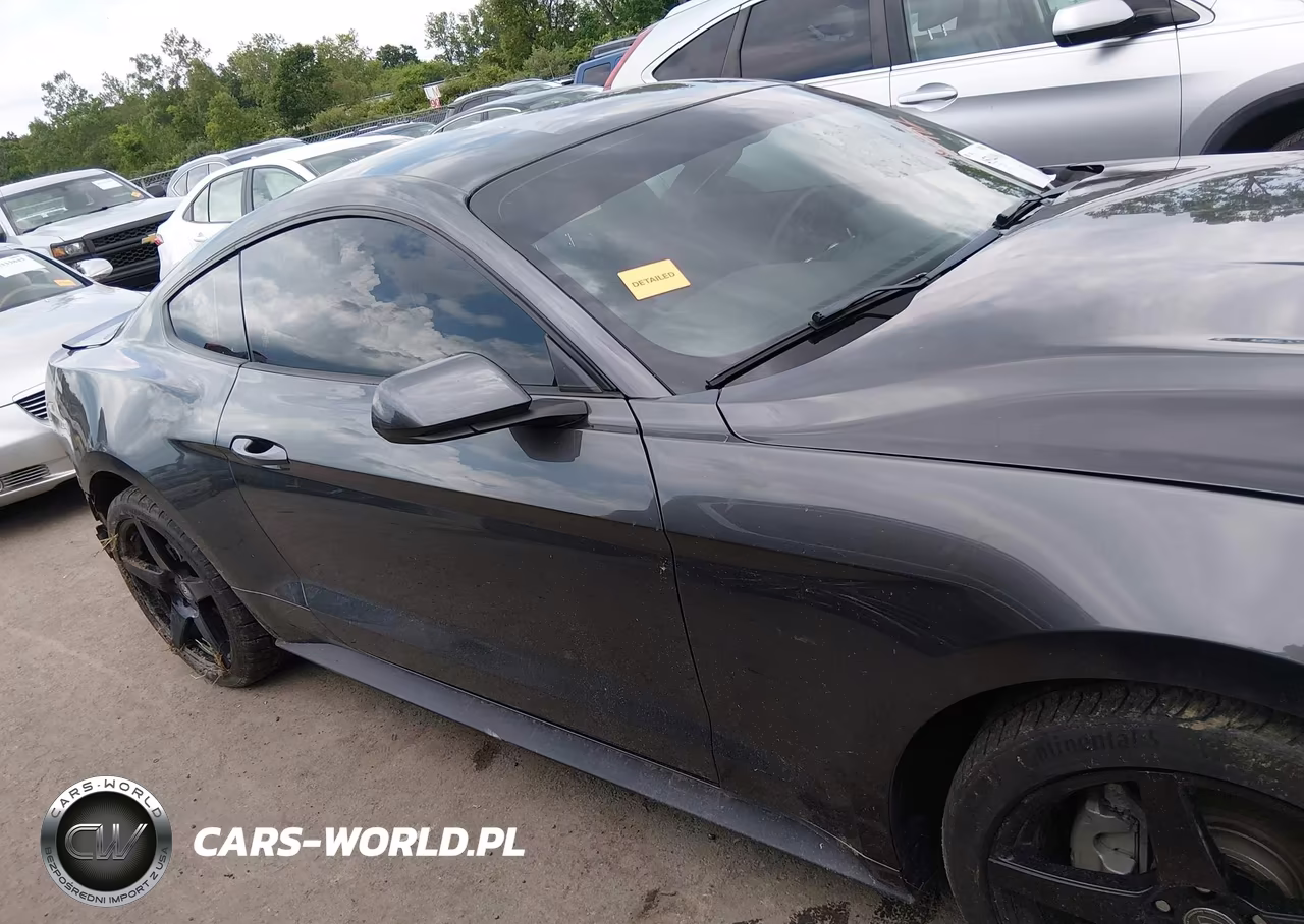 2019 Ford Mustang Ecoboost VIN:1FA6P8TH5K5191982 - 14