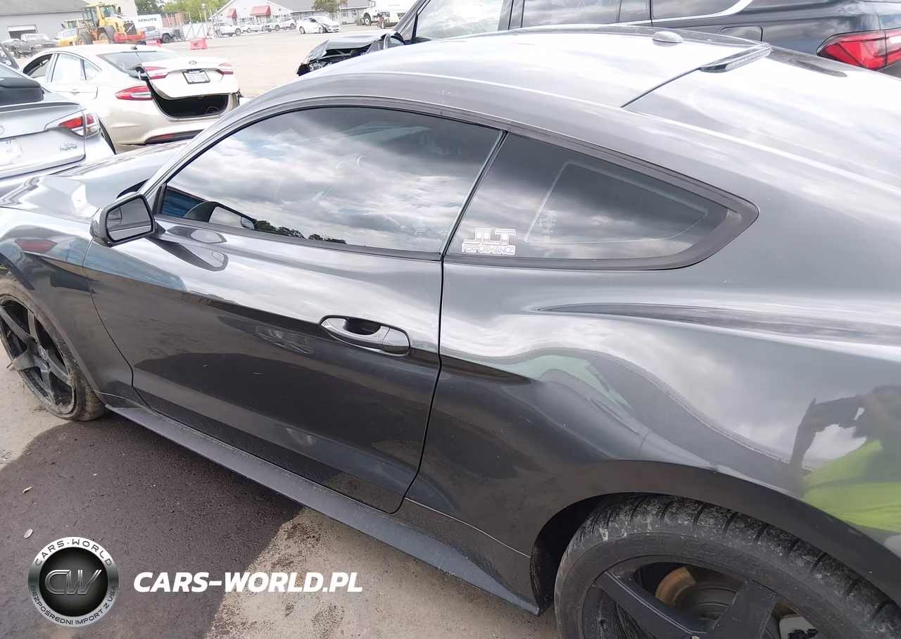 2019 Ford Mustang Ecoboost VIN:1FA6P8TH5K5191982 - 15