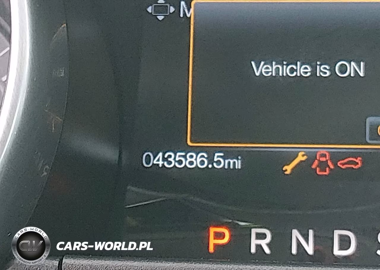 2019 Ford Mustang Ecoboost VIN:1FA6P8TH5K5191982 - 16