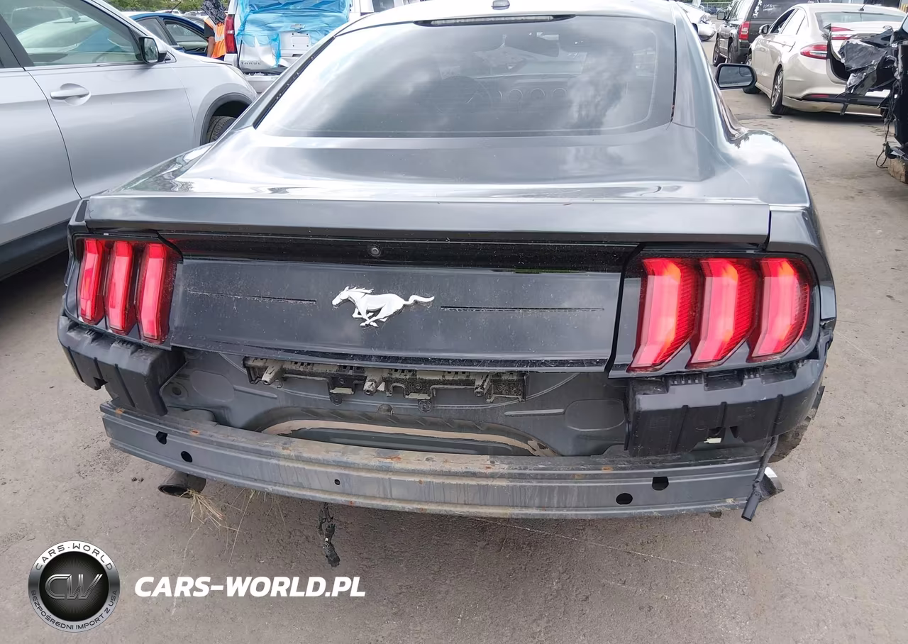 2019 Ford Mustang Ecoboost VIN:1FA6P8TH5K5191982 - 17